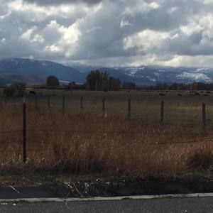 Meet your Posher, Deborah